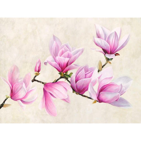 Ramo di magnolia Gold Ornate Wood Framed Art Print with Double Matting by Villa, Luca
