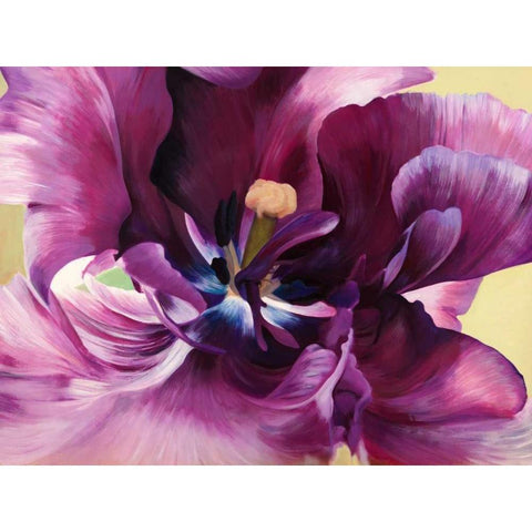 Purple tulip close-up Black Modern Wood Framed Art Print by Villa, Luca