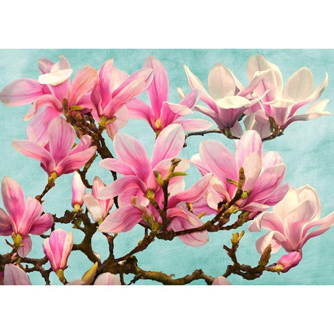 Magnolia Branch - turquoise Black Modern Wood Framed Art Print by Villa, Luca