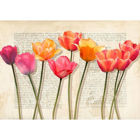 Fleurs et Histoires Black Modern Wood Framed Art Print by Villa, Luca