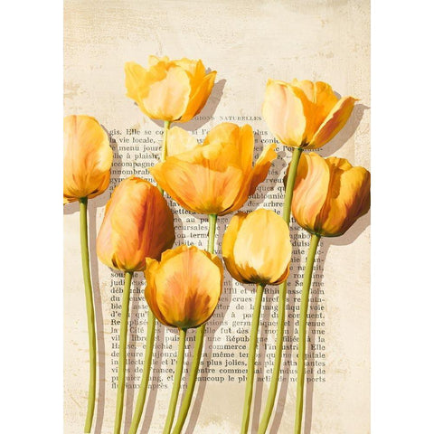 Tulipes et Histoires Black Modern Wood Framed Art Print with Double Matting by Villa, Luca