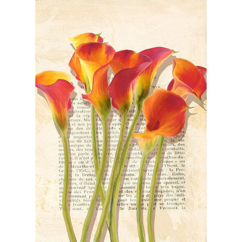 Callas et Histoires Gold Ornate Wood Framed Art Print with Double Matting by Villa, Luca