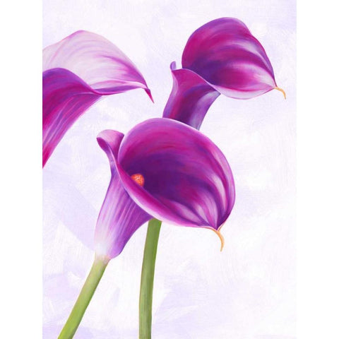 Duet II White Modern Wood Framed Art Print by Villa, Luca