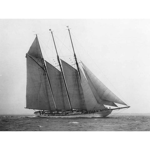 The Schooner Karina at Sail 1919 Black Modern Wood Framed Art Print with Double Matting by Levick, Edwin