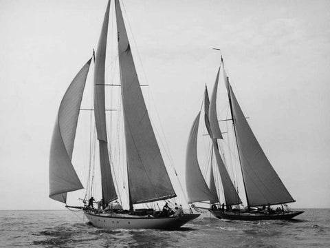 Sailboats Race during Yacht Club Cruise White Modern Wood Framed Art Print with Double Matting by Levick, Edwin