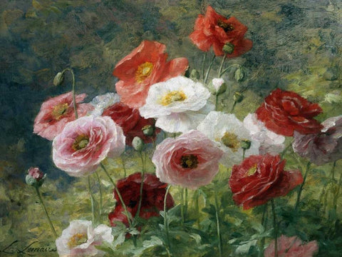 Poppies White Modern Wood Framed Art Print with Double Matting by Lemaire, Louis Marie