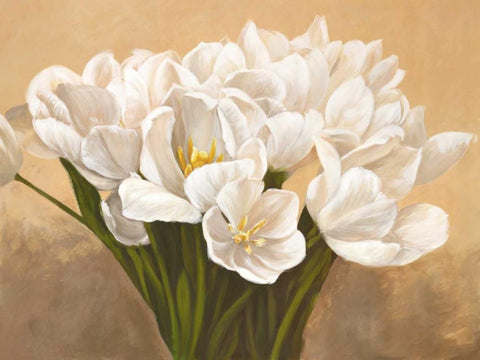 Tulipes blanches Black Ornate Wood Framed Art Print with Double Matting by Sanna, Leonardo