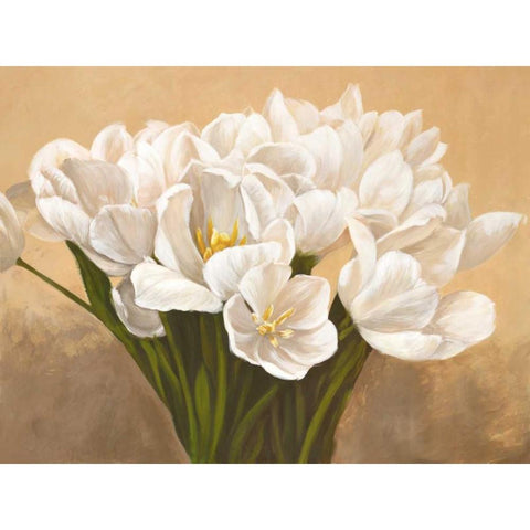 Tulipes blanches Black Modern Wood Framed Art Print by Sanna, Leonardo