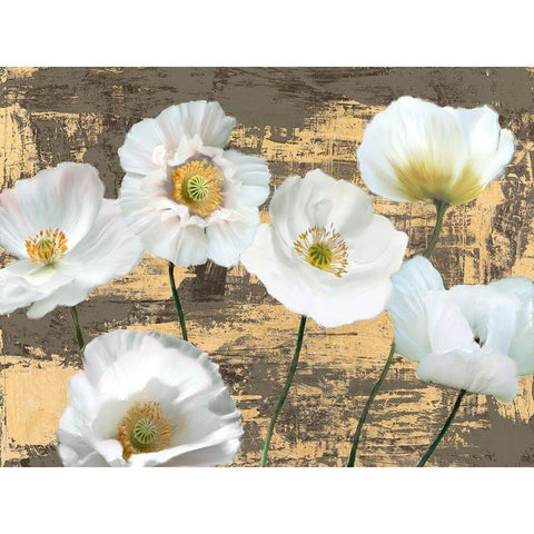 Washed Poppies (Ash and Gold) Black Modern Wood Framed Art Print by Sanna, Leonardo
