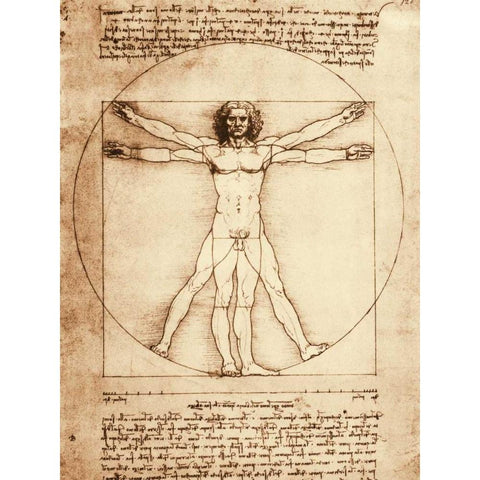 Vitruvian Man Gold Ornate Wood Framed Art Print with Double Matting by da Vinci, Leonardo