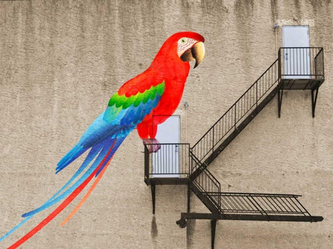 Escape from your cage White Modern Wood Framed Art Print with Double Matting by Masterfunk Collective