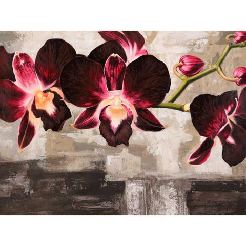 Velvet Orchids Gold Ornate Wood Framed Art Print with Double Matting by Mills, Shin