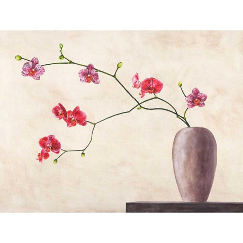 Balance White Modern Wood Framed Art Print by Mills, Shin