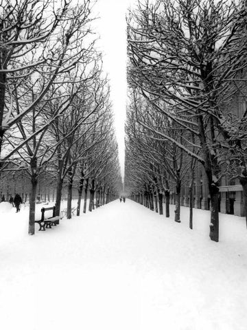 The Tuileries Garden under the snow, Paris White Modern Wood Framed Art Print with Double Matting by Setboun, Michel