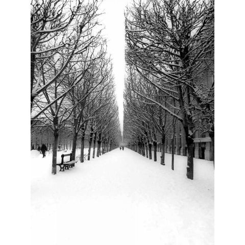 The Tuileries Garden under the snow, Paris Black Modern Wood Framed Art Print with Double Matting by Setboun, Michel