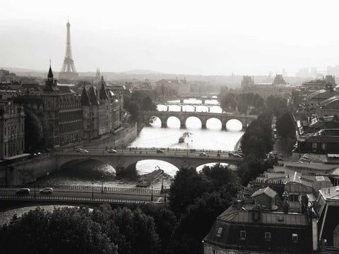 Bridges over the Seine river, Paris White Modern Wood Framed Art Print with Double Matting by Setboun, Michel