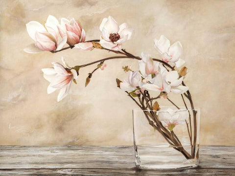 Fiori di magnolia Black Ornate Wood Framed Art Print with Double Matting by Mavaracchio, Cristina