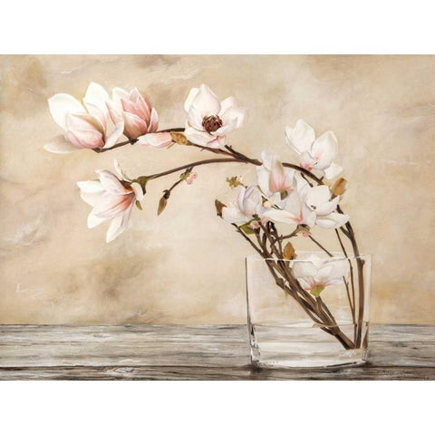 Fiori di magnolia Black Modern Wood Framed Art Print by Mavaracchio, Cristina