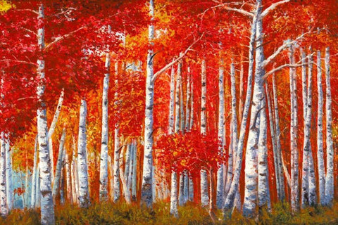 Bosco di betulle White Modern Wood Framed Art Print with Double Matting by Masera, Angelo