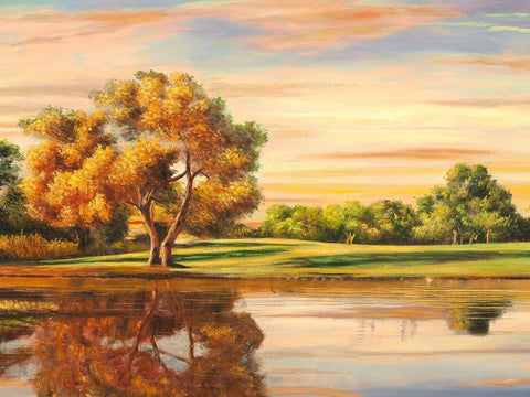 Riflessi sul lago (detail) Black Ornate Wood Framed Art Print with Double Matting by Angelo, Masera