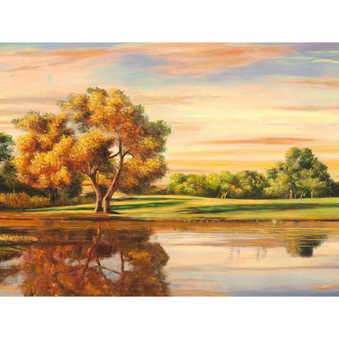 Riflessi sul lago (detail) Black Modern Wood Framed Art Print by Angelo, Masera