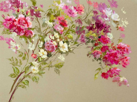 The Garden of the Rose I Black Ornate Wood Framed Art Print with Double Matting by Whatmore, Nel