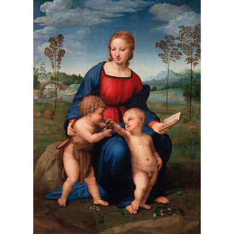 Madonna del cardellino Black Modern Wood Framed Art Print with Double Matting by Raffaello