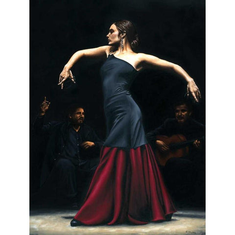 Encantado por flamenco Black Modern Wood Framed Art Print with Double Matting by Young, Richard