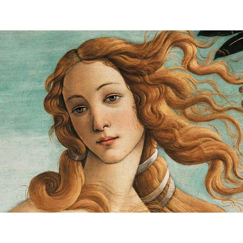 Nascita di Venere White Modern Wood Framed Art Print by Botticelli, Sandro
