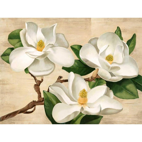 Magnolie bianche Gold Ornate Wood Framed Art Print with Double Matting by Biffi, Serena