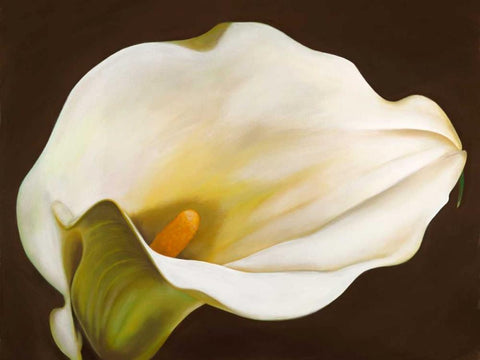 Calla White Modern Wood Framed Art Print with Double Matting by Biffi, Serena
