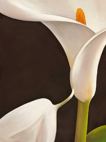 Calla moderna I Black Ornate Wood Framed Art Print with Double Matting by Biffi, Serena