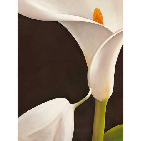 Calla moderna I Black Modern Wood Framed Art Print by Biffi, Serena