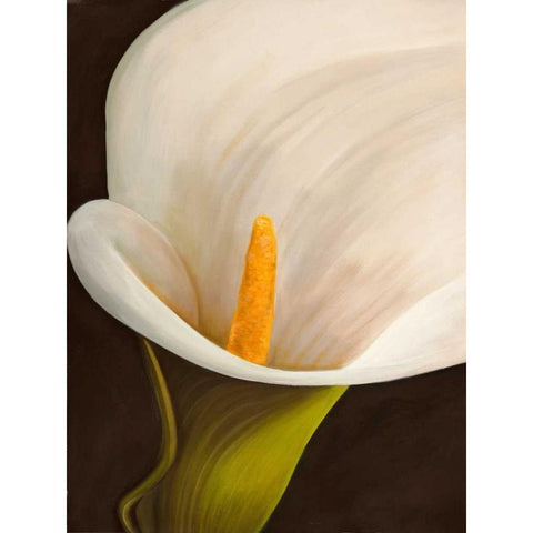 Calla moderna II White Modern Wood Framed Art Print by Biffi, Serena