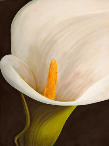 Calla moderna II Black Ornate Wood Framed Art Print with Double Matting by Biffi, Serena