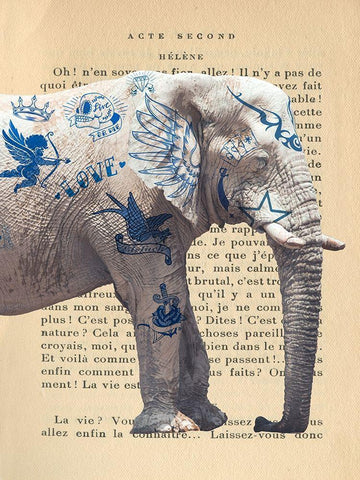 Tattooed Savannah I White Modern Wood Framed Art Print with Double Matting by Hill, Steven