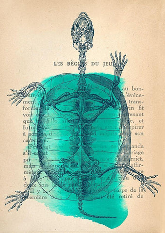 Memories of the Wild I White Modern Wood Framed Art Print with Double Matting by Stef, Lamanche