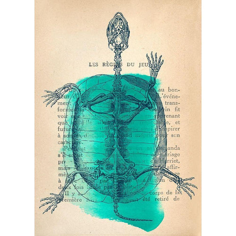 Memories of the Wild I Black Modern Wood Framed Art Print by Stef, Lamanche