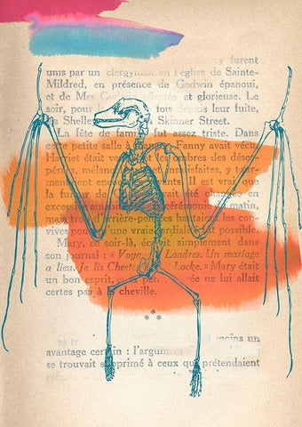 Memories of the Wild II Black Ornate Wood Framed Art Print with Double Matting by Stef, Lamanche