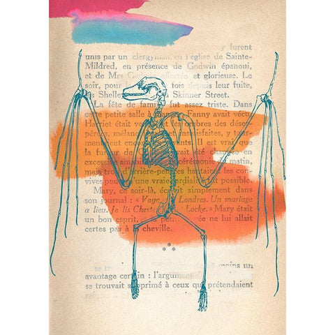 Memories of the Wild II Black Modern Wood Framed Art Print by Stef, Lamanche