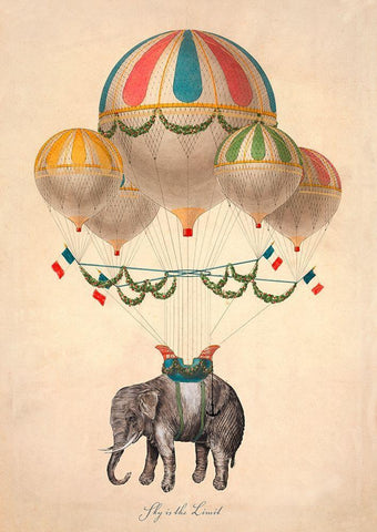 Sky is the Limit White Modern Wood Framed Art Print with Double Matting by Stef, Lamanche