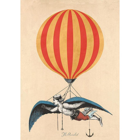 The Aerialist Black Modern Wood Framed Art Print with Double Matting by Stef, Lamanche