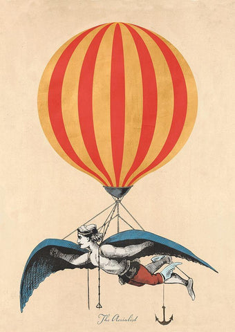 The Aerialist White Modern Wood Framed Art Print with Double Matting by Stef, Lamanche