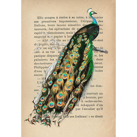 Indian peafowl- After DOrbigny Gold Ornate Wood Framed Art Print with Double Matting by Lamanche, Stef