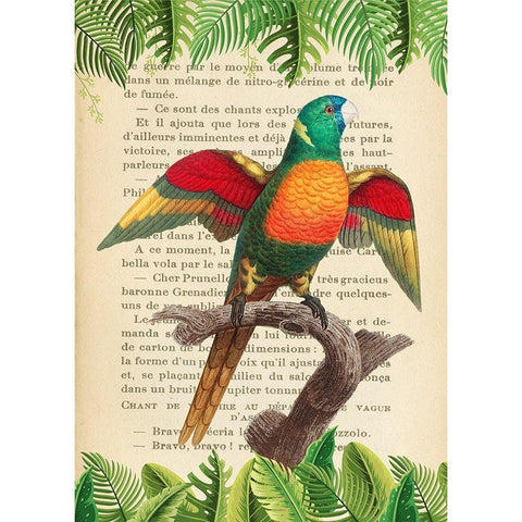 The Blue-Headed Parrot- After Levaillant White Modern Wood Framed Art Print by Lamanche, Stef