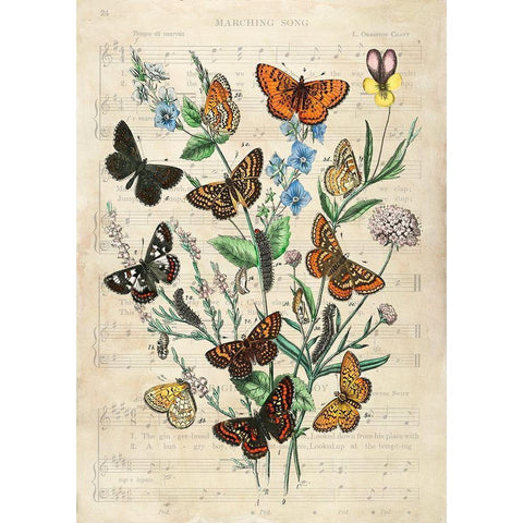 European Butterflies- After Kirby Gold Ornate Wood Framed Art Print with Double Matting by Lamanche, Stef