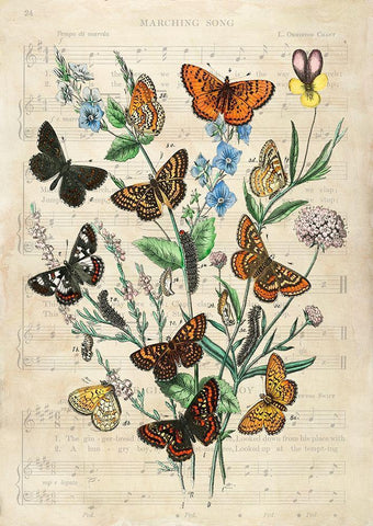 European Butterflies- After Kirby White Modern Wood Framed Art Print with Double Matting by Lamanche, Stef