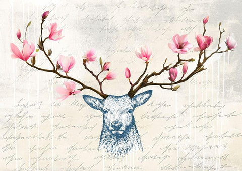 King of the Wilderness White Modern Wood Framed Art Print with Double Matting by Matt, Spencer