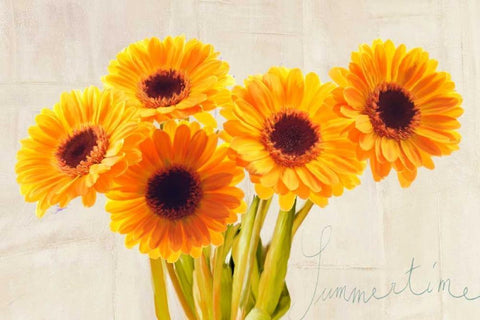 Summertime Black Ornate Wood Framed Art Print with Double Matting by Rizzardi, Teo