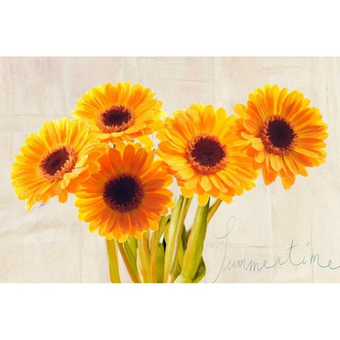 Summertime White Modern Wood Framed Art Print by Rizzardi, Teo